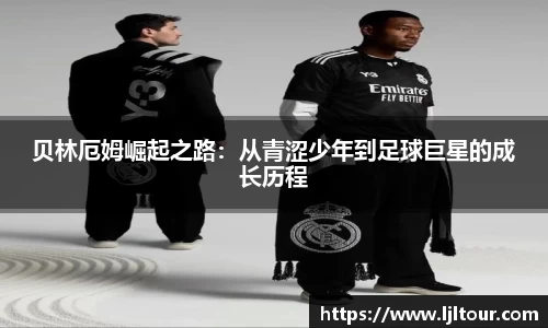奇异果qyg网页版